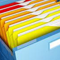 organized business